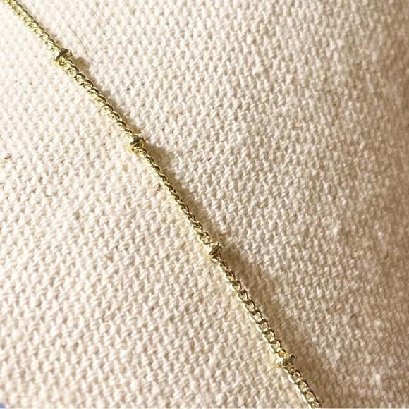 Vintage Encapsulated Ferm Leaf With Brass Pendant Necklace. - Picture 6 of 7